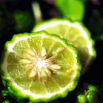 Kézbalzsam - She vaj & Bergamot
