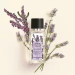 Eau de Parfum - Teljes nyugalom