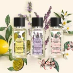 Eau de Parfum - Teljes nyugalom