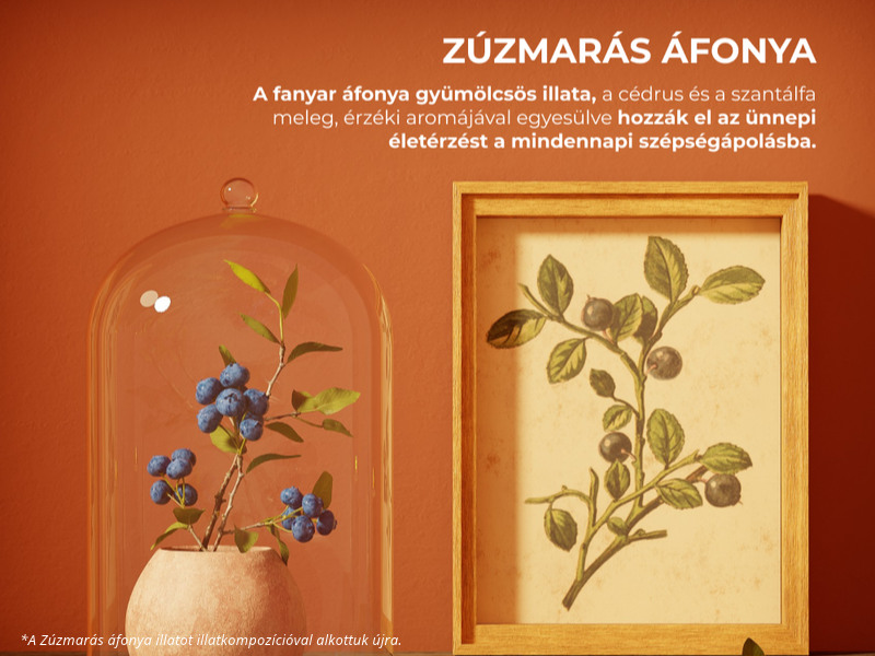 Zúzmarás áfonya