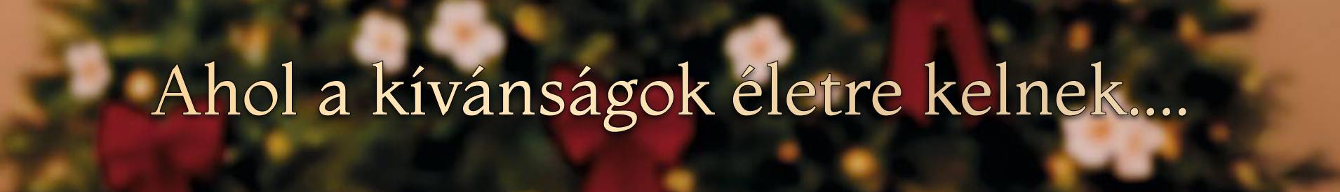 Ahol a kívánságok életre kelnek