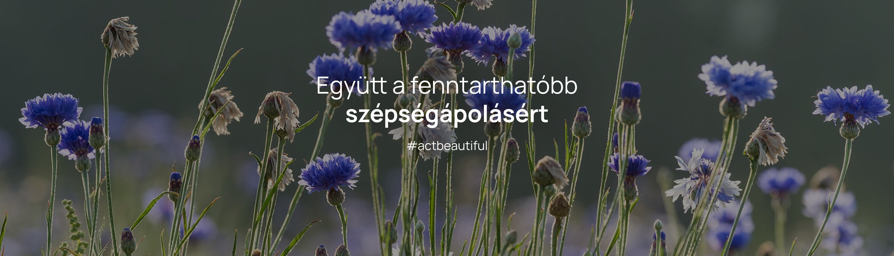 Yves Rocher – #actbeautiful
