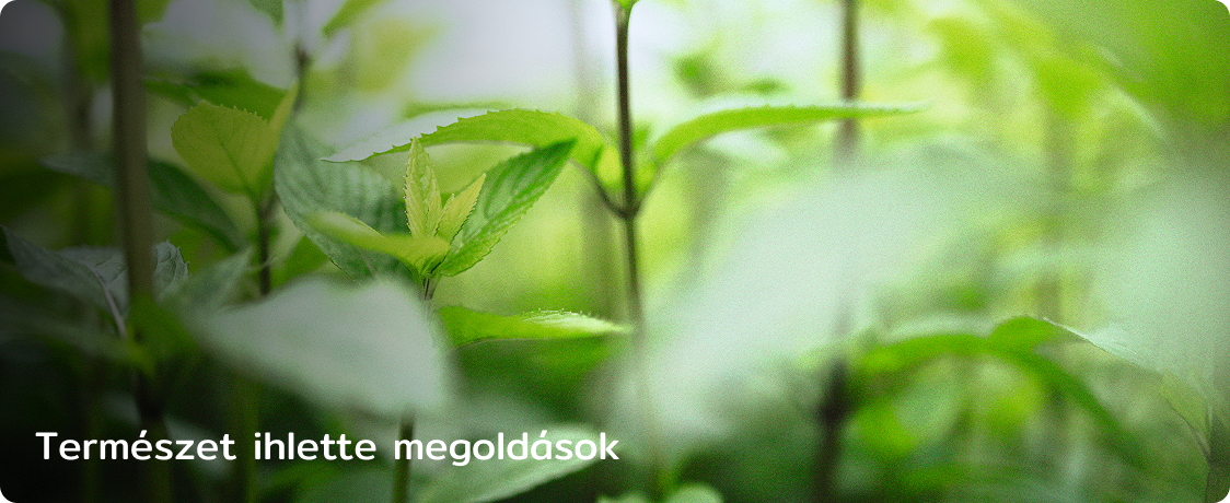 Természet ihlette megoldások