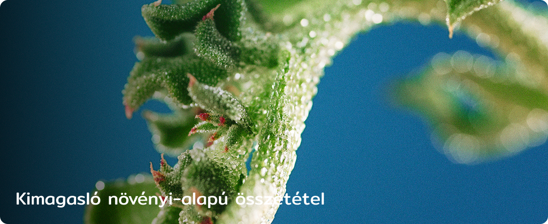 Kimagasló növényi-alapú összetétel