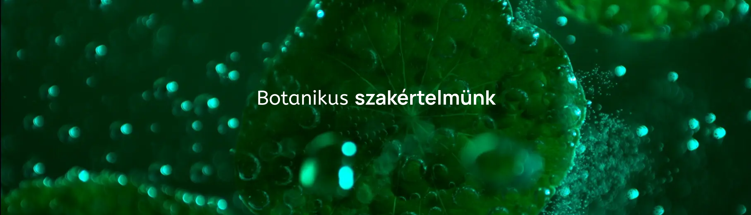 Botanikus szakértelmünk