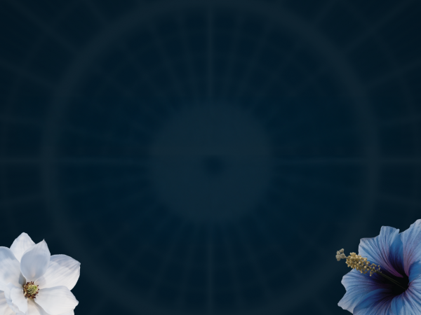 Figyelem, spoiler alert!